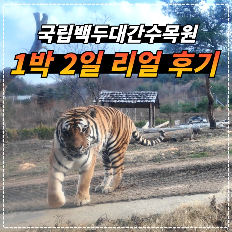 마트 백두대간 이미지
