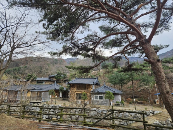 원정육 이미지