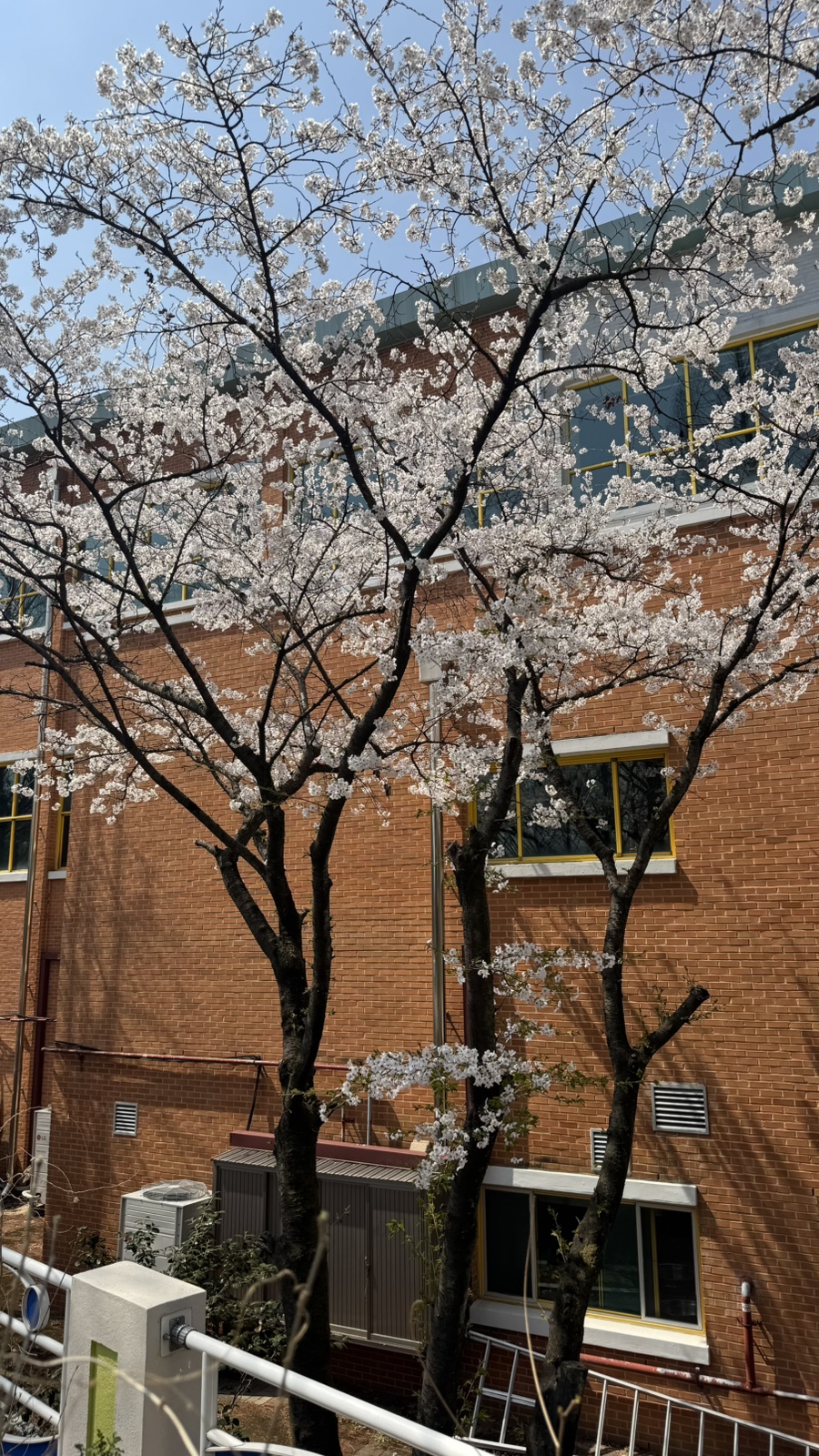 파운딧베이크샵 이미지