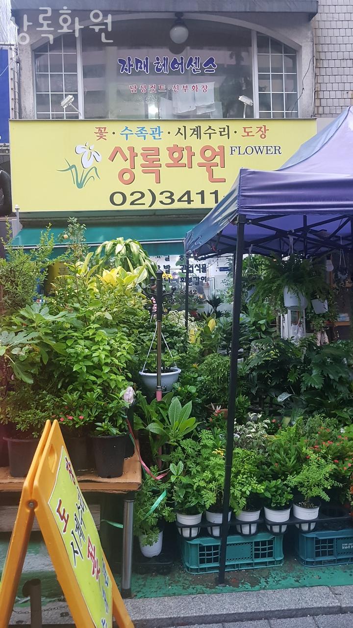 상록화원 이미지
