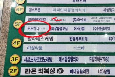 에스테틱도도 이미지