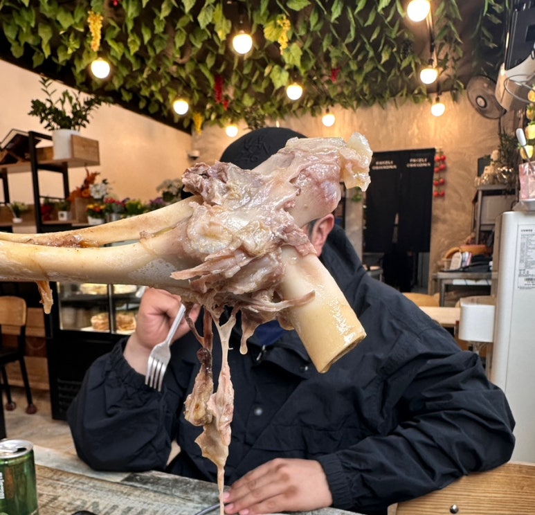 츄츄바 이미지
