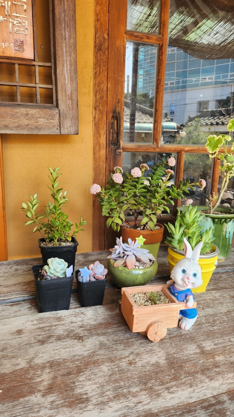 산모롱이식당 이미지