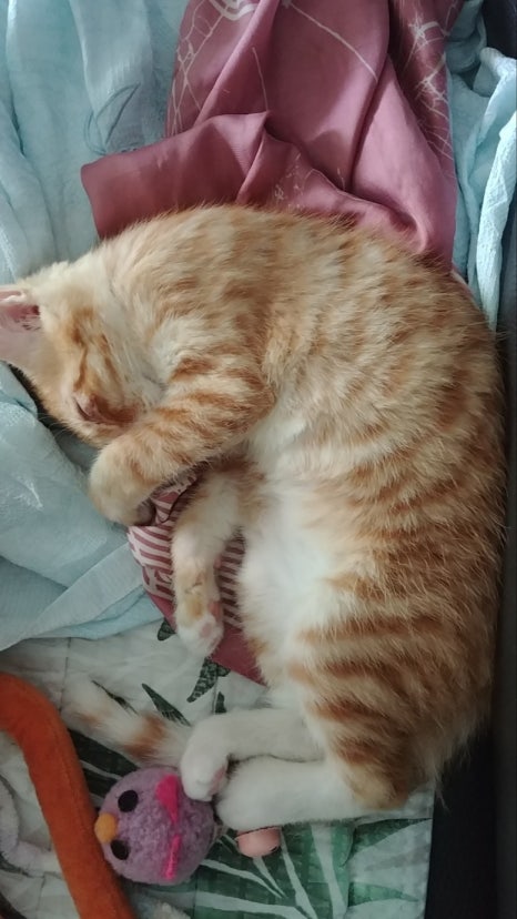 보리기획 이미지
