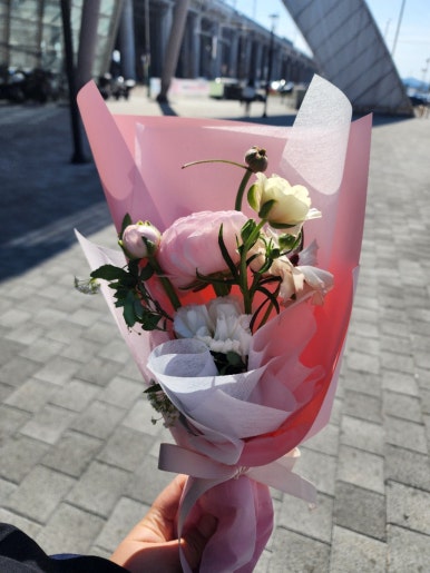 꽃그리다바이엘라 이미지