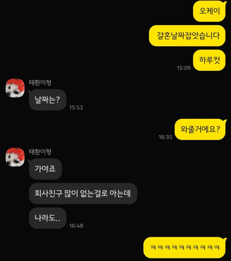 페리카나교하 이미지