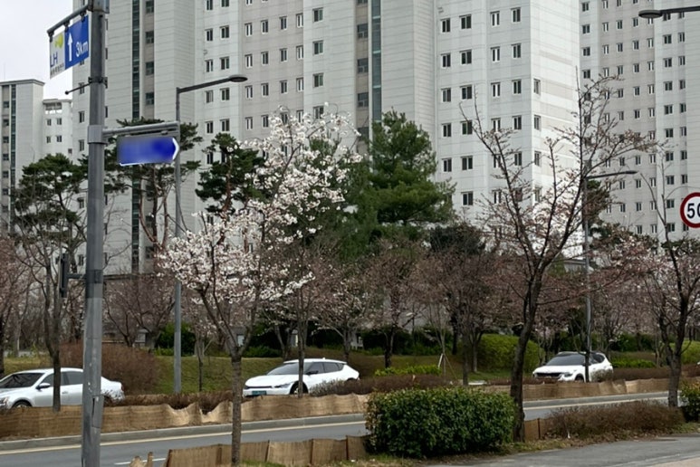 파인트(PAINT) 이미지