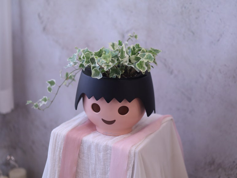 아이엠로사 이미지