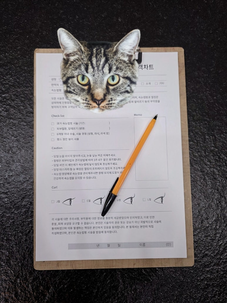 미브로우뷰티 이미지
