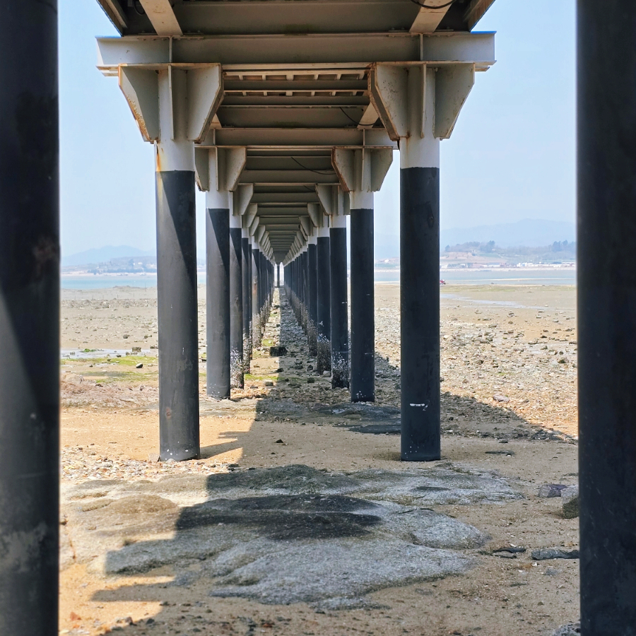 돌머리아저씨 이미지