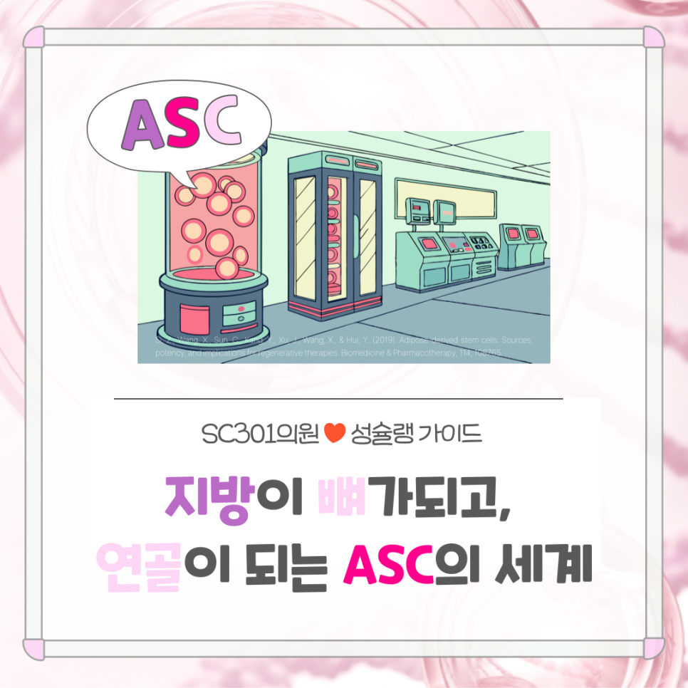 005 지방줄기세포(ASC)의 놀라운 변신 - 지방, 뼈, 연골까지 만들어낸다구요?!