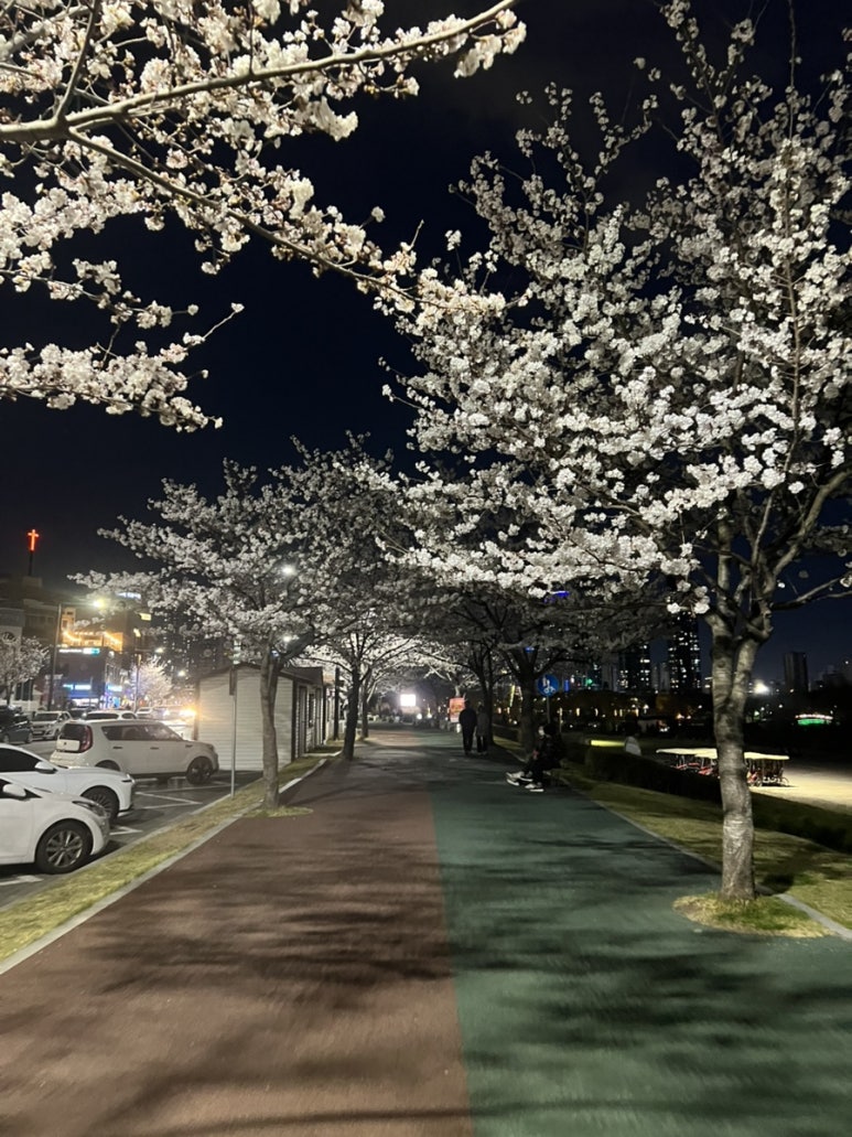 엉터리무한대패울산태화점 이미지