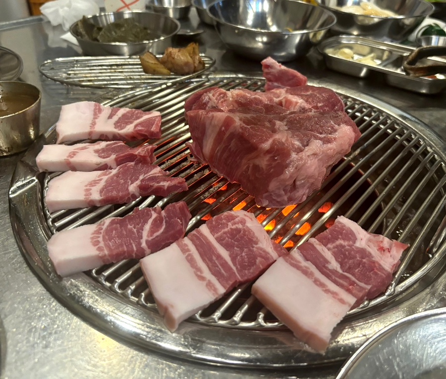 탄통제주돼지 이미지