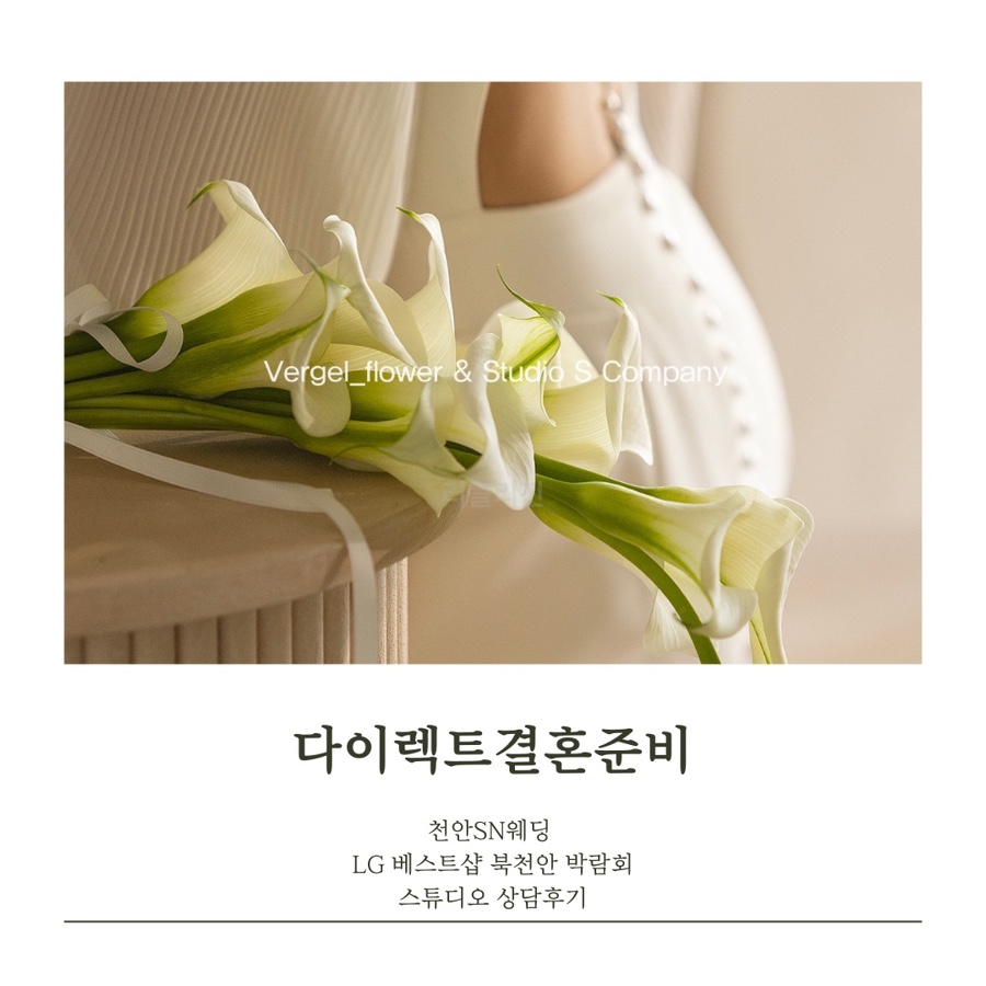 스튜디오SN 이미지