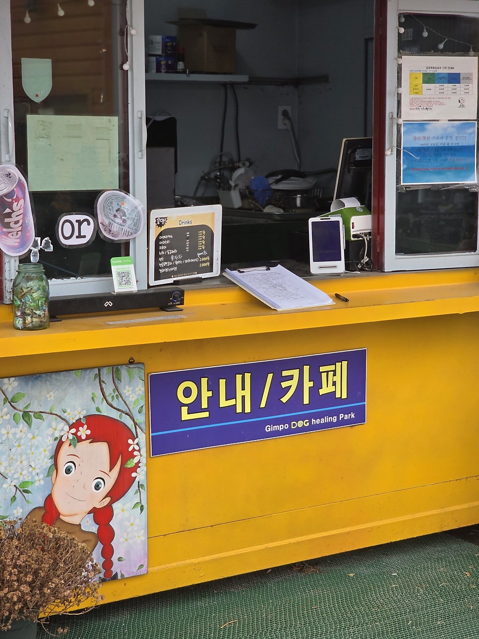 김포독힐링파크: 강아지 실내수영장+운동장 후기 — 사진 5