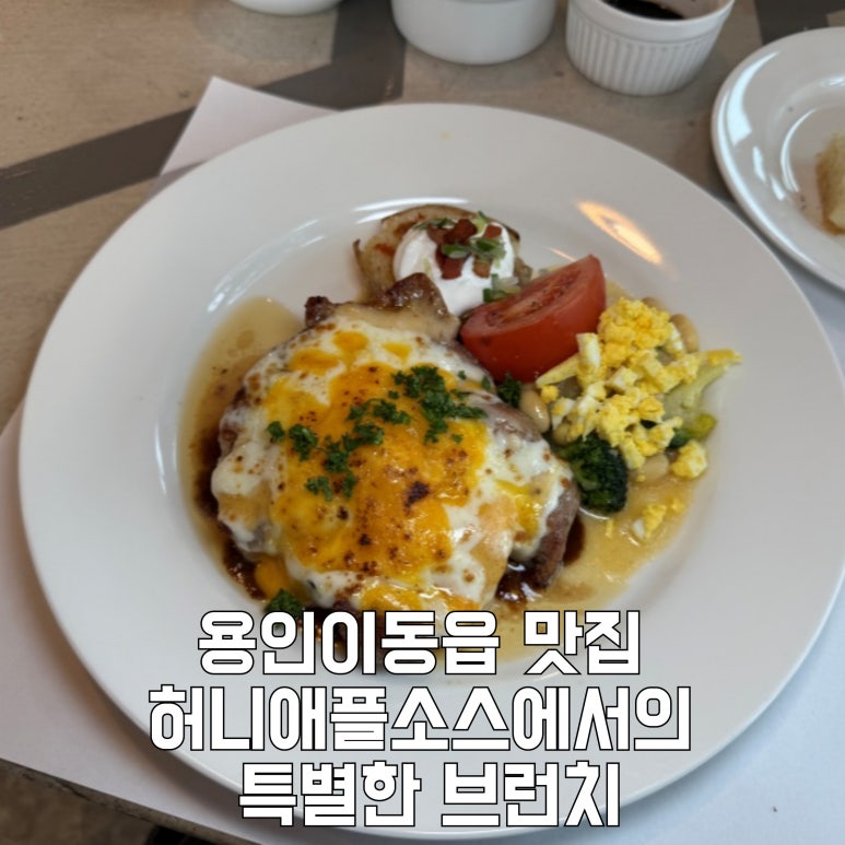 허니 애플 소스 이미지