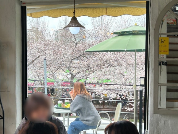 보보스카페 이미지