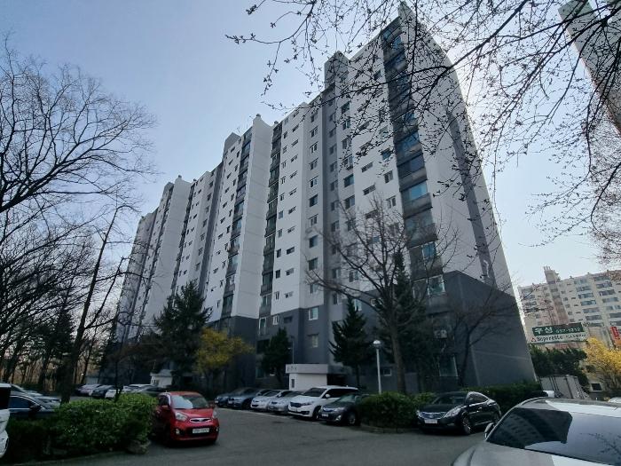 강남1984 이미지