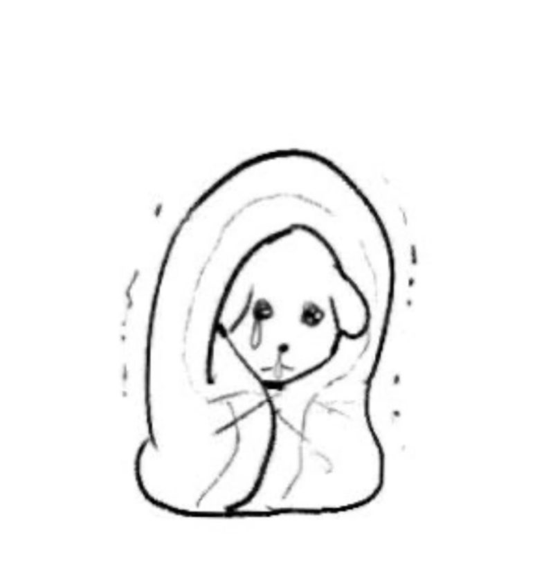 찬란한 세상 이미지