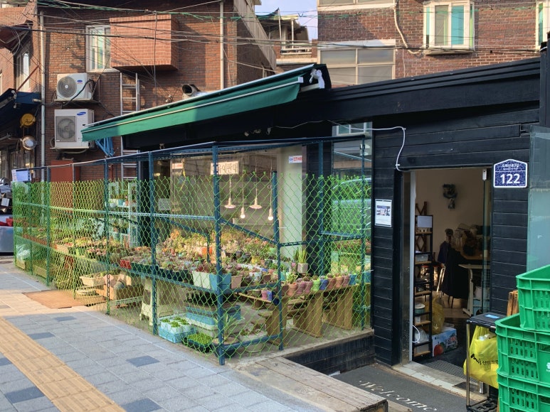 타니의다육공방 이미지