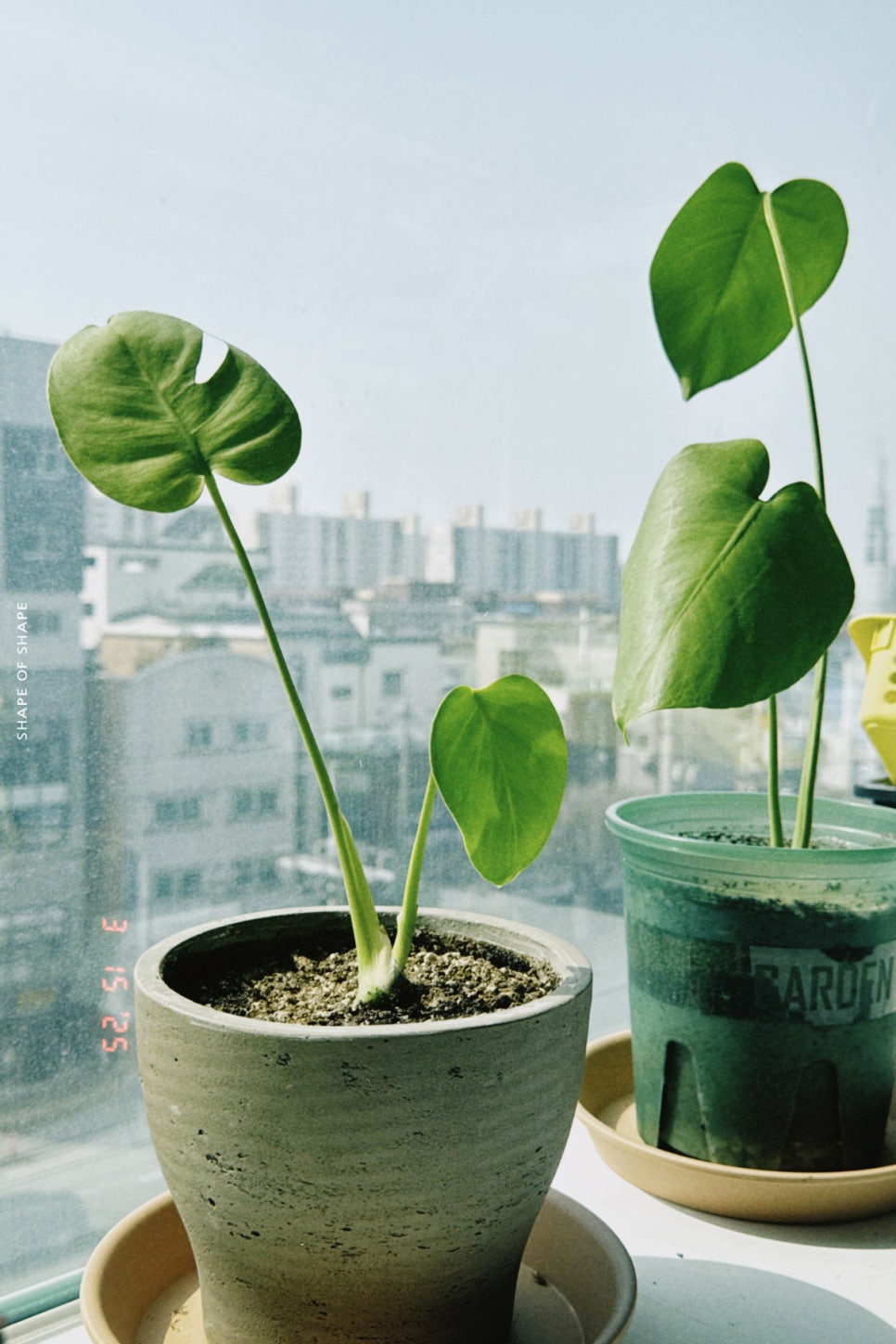 정미공방 이미지