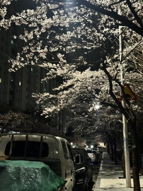 커피베이가야공원점 이미지