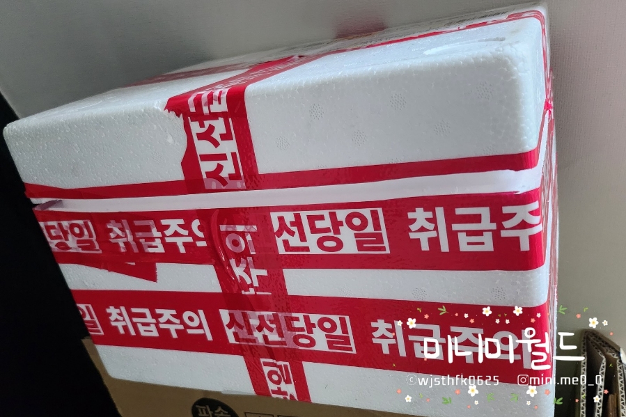 이기는면역찬 이미지