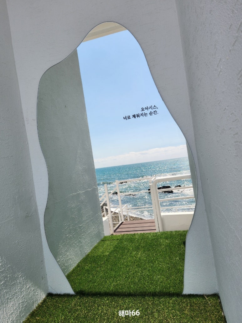 오아시스코브 이미지