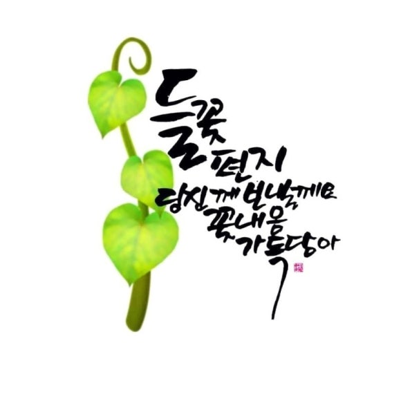 요거팡 이미지
