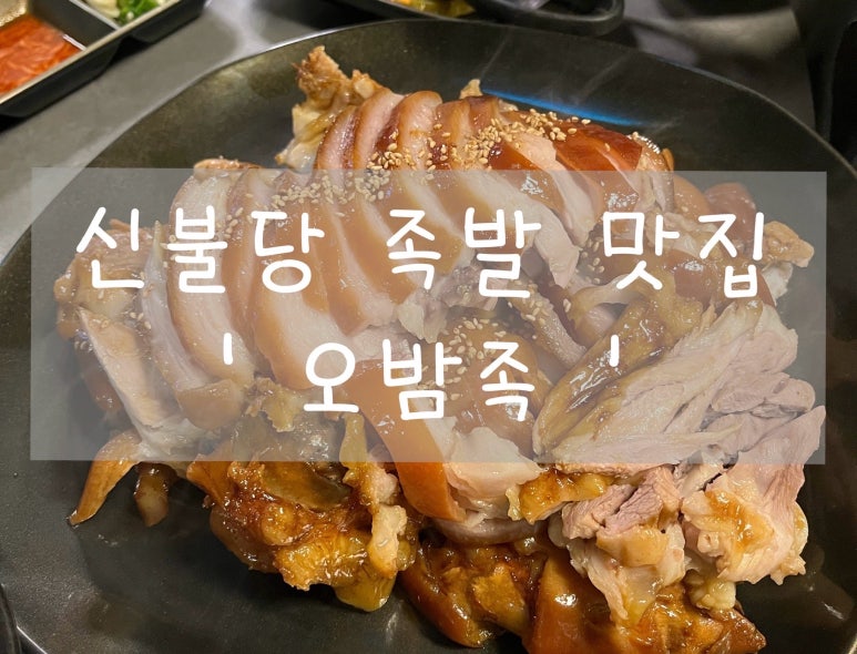 오밤족 이미지