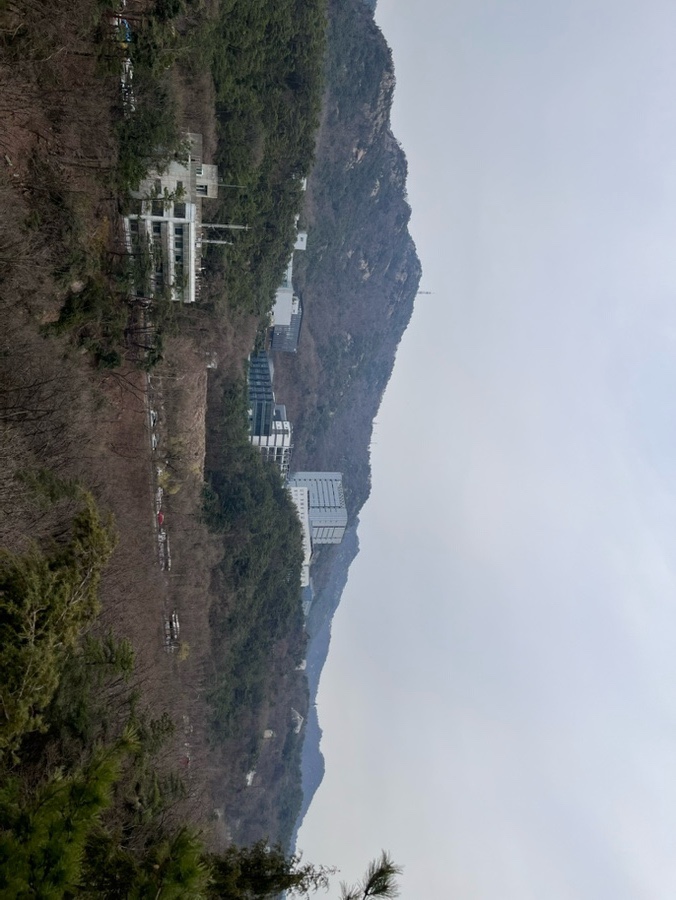 산애숲 이미지