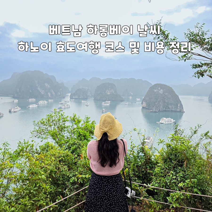 하노이가이드맨 이미지