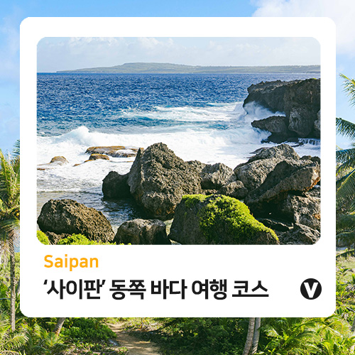 나나수 이미지