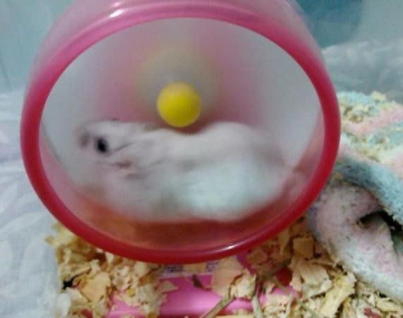 자현미용실 이미지