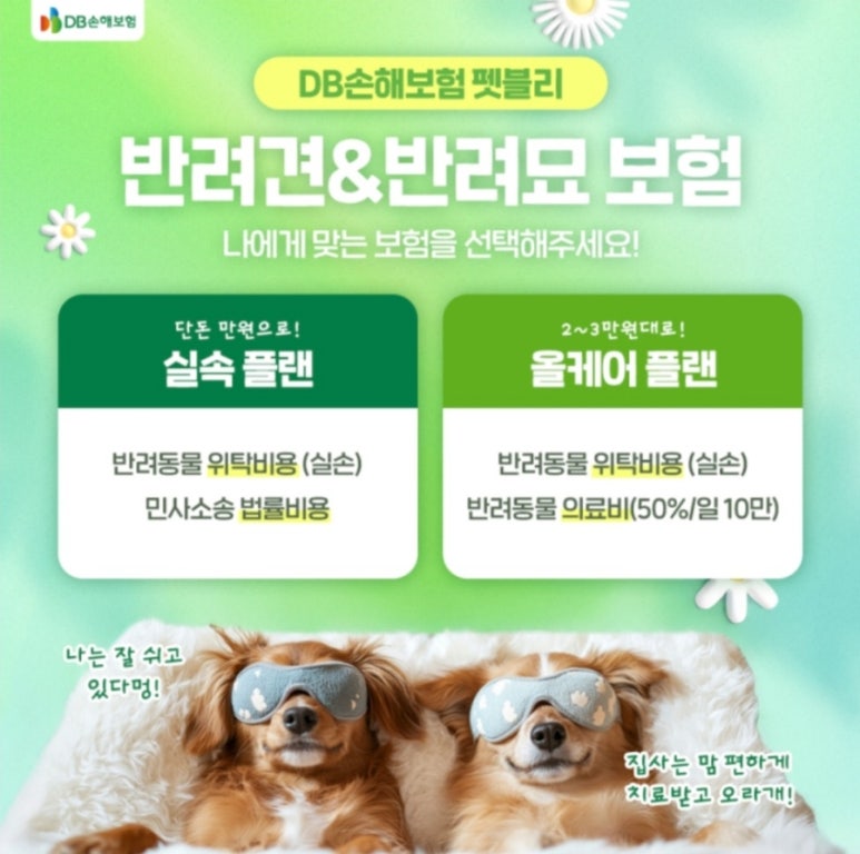 펫블리 이미지