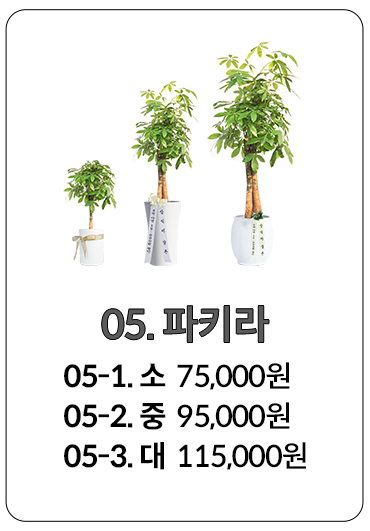 런칭행사 화환
