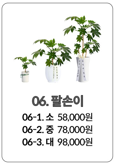 런칭행사 화환