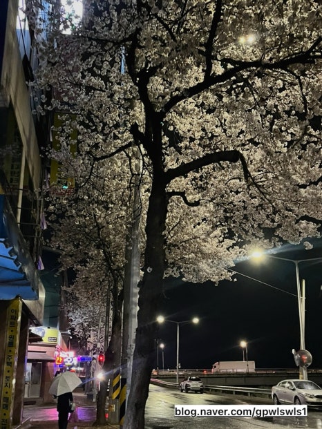 강변참숯불 이미지