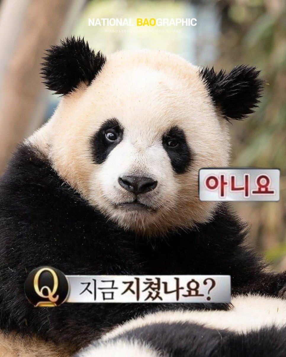 하루한끼 이미지