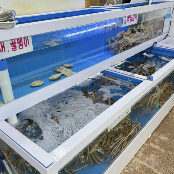 안동횟집71호 이미지