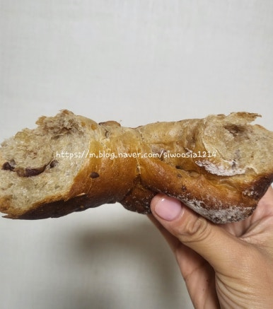 파앙 이미지