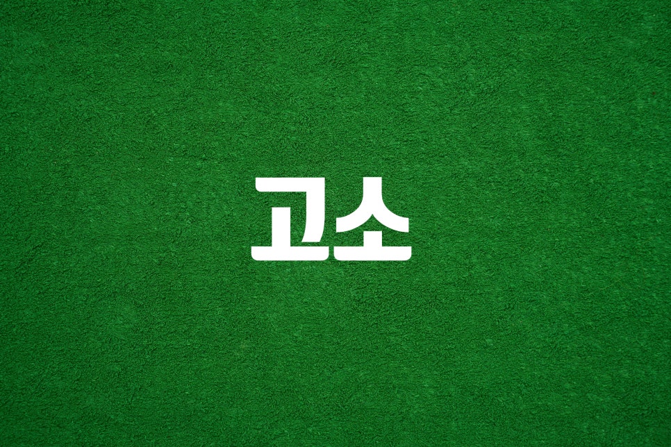 법무사이인성사무소 이미지