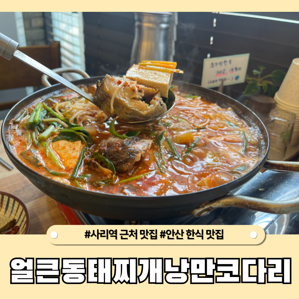 낭만코다리 이미지