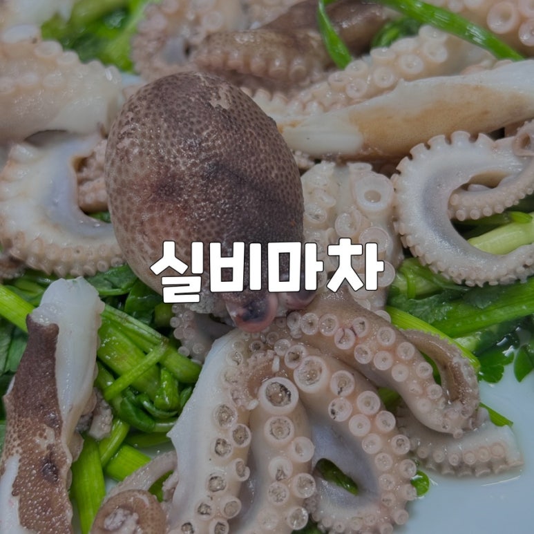 실비마차 이미지