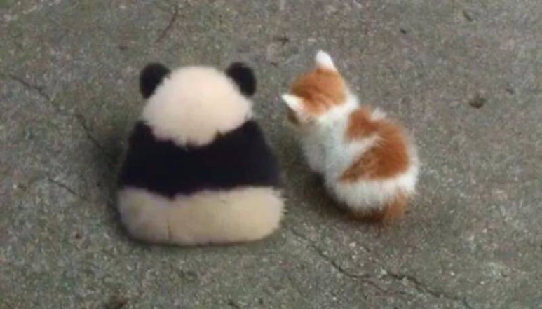 머무르다 이미지
