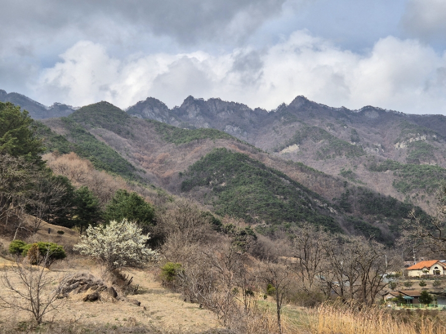 이산찐빵 이미지