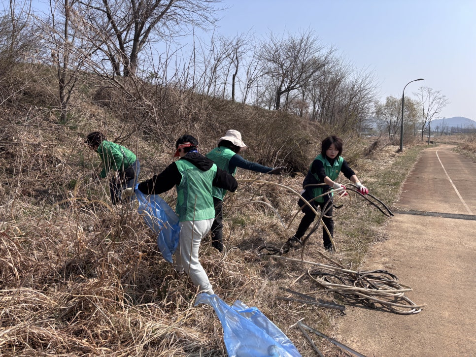 용인야구장 이미지