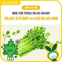 봄 제철 미나리의 변신 [미나리 고기 말이 VS 사과 미나리 생채] 당신의 선택은? 바로가기