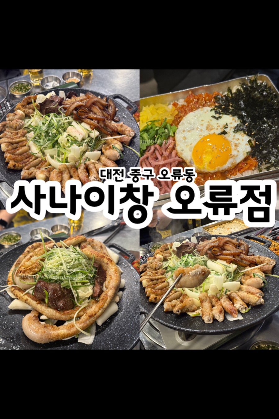사나이창 이미지