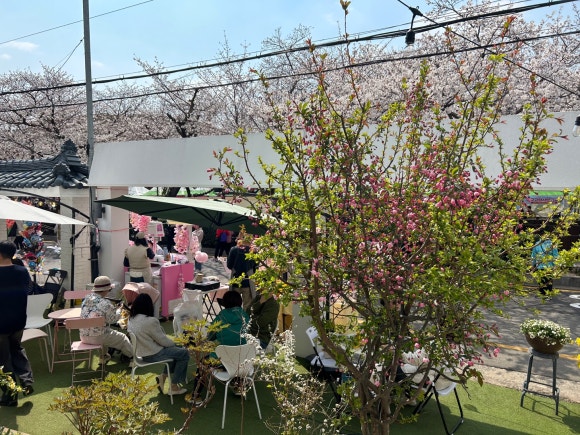 보보스카페 이미지
